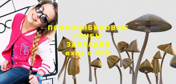 apvp Алексеевка