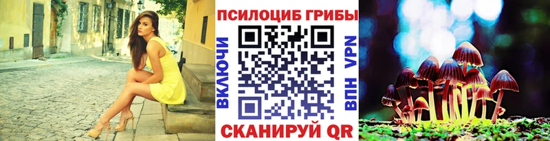 Галлюциногенные грибы Psilocybine cubensis  где найти наркотики  Королёв 