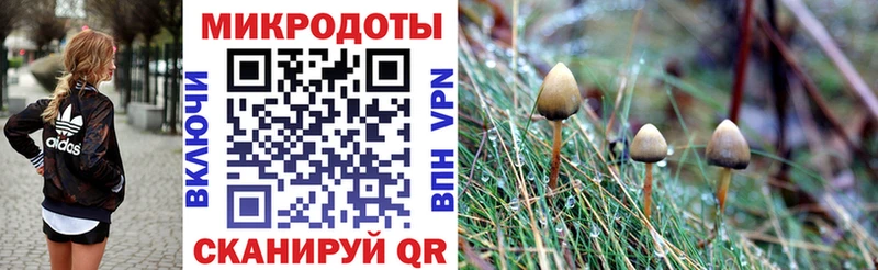 Псилоцибиновые грибы MAGIC MUSHROOMS Королёв